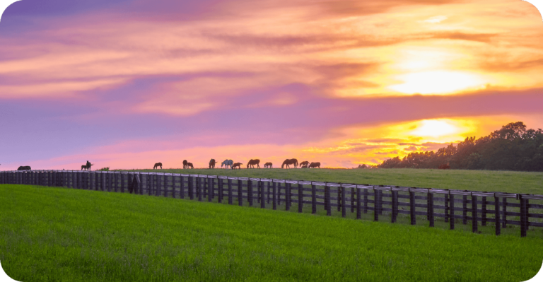 Scott-County
