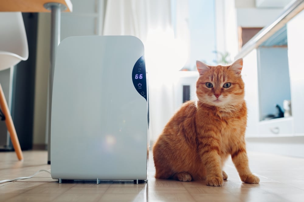 hvac uv air purifier