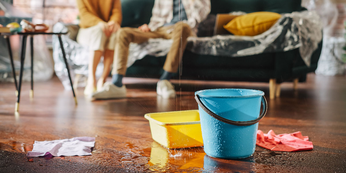 The True Cost of Water Damage: Prevention vs. Repair