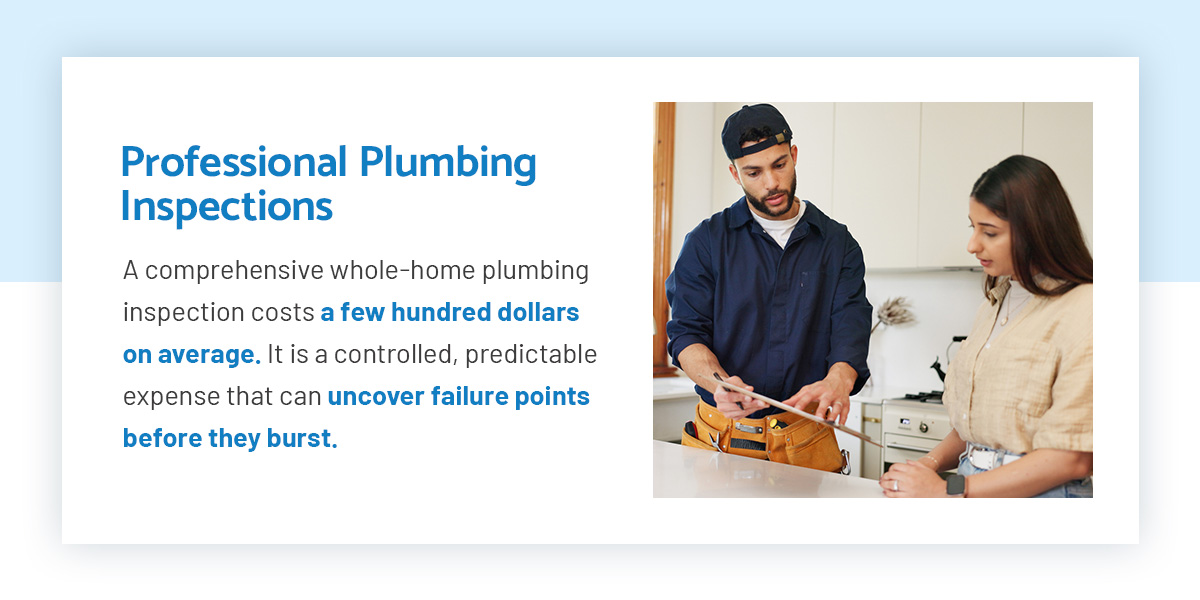 Professional Plumbing Inspections 